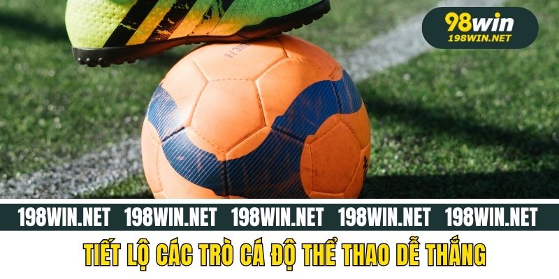 Tiết lộ các trò cá độ thể thao dễ thắng
